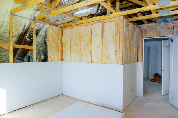 Best Insulation Maintenance and Repair in La Cienega, NM