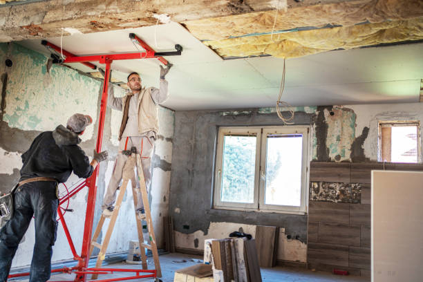 Best Eco-Friendly Insulation in La Cienega, NM