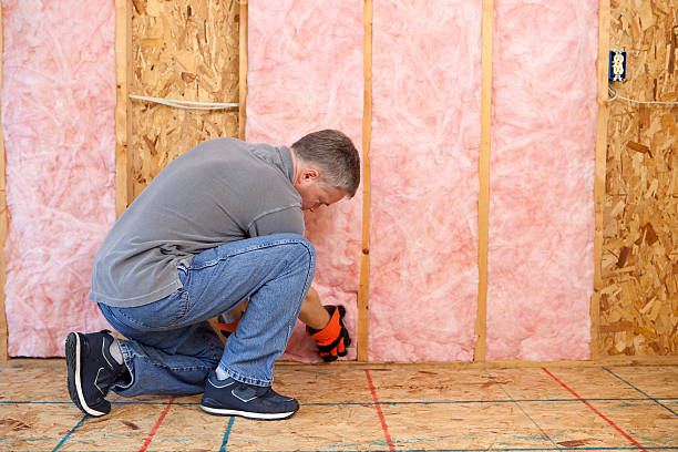 Best Specialized Insulation Services in La Cienega, NM
