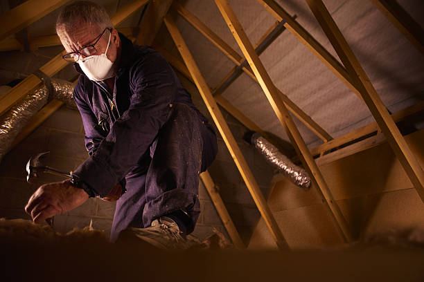 Best Residential Insulation in La Cienega, NM